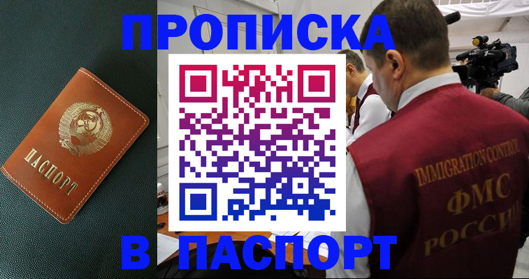 прописка иностранных граждан в Мончегорске